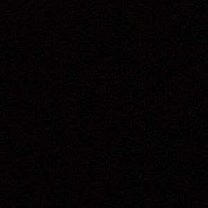 Meet your Posher, Isabella